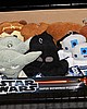 IMG_8630.JPG