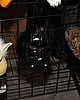 IMG_8652.JPG