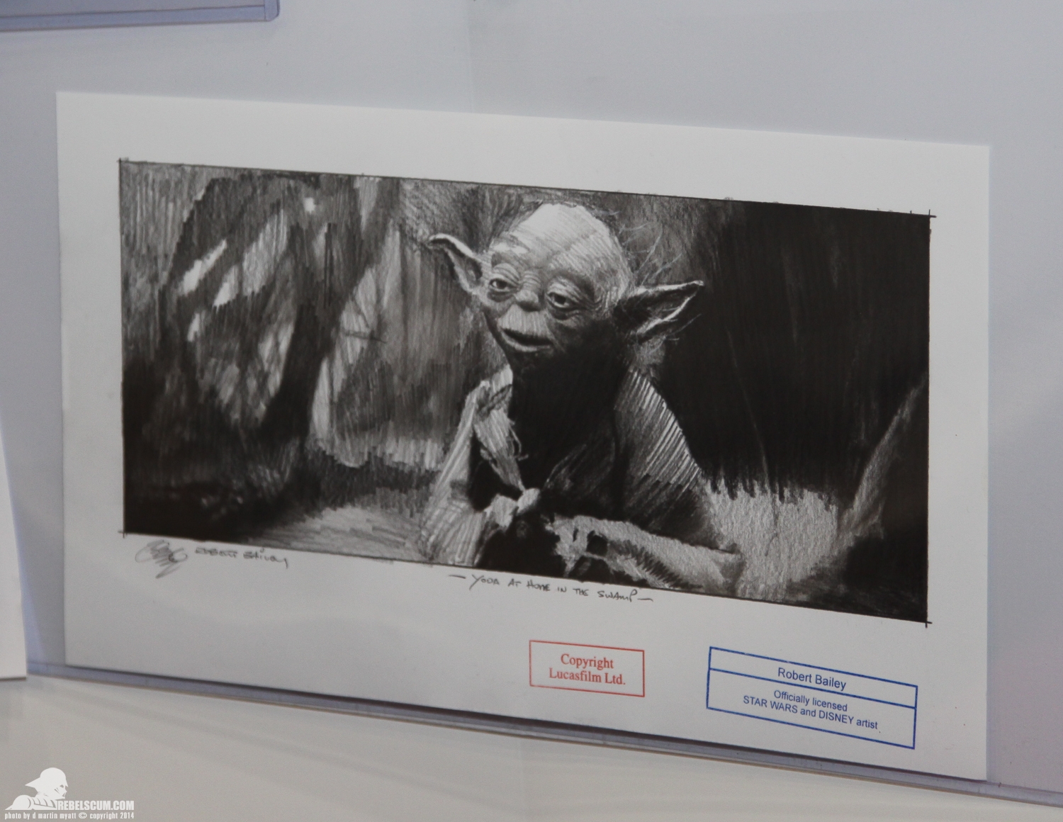 2014-Fan-Expo-Vancouver-003.jpg