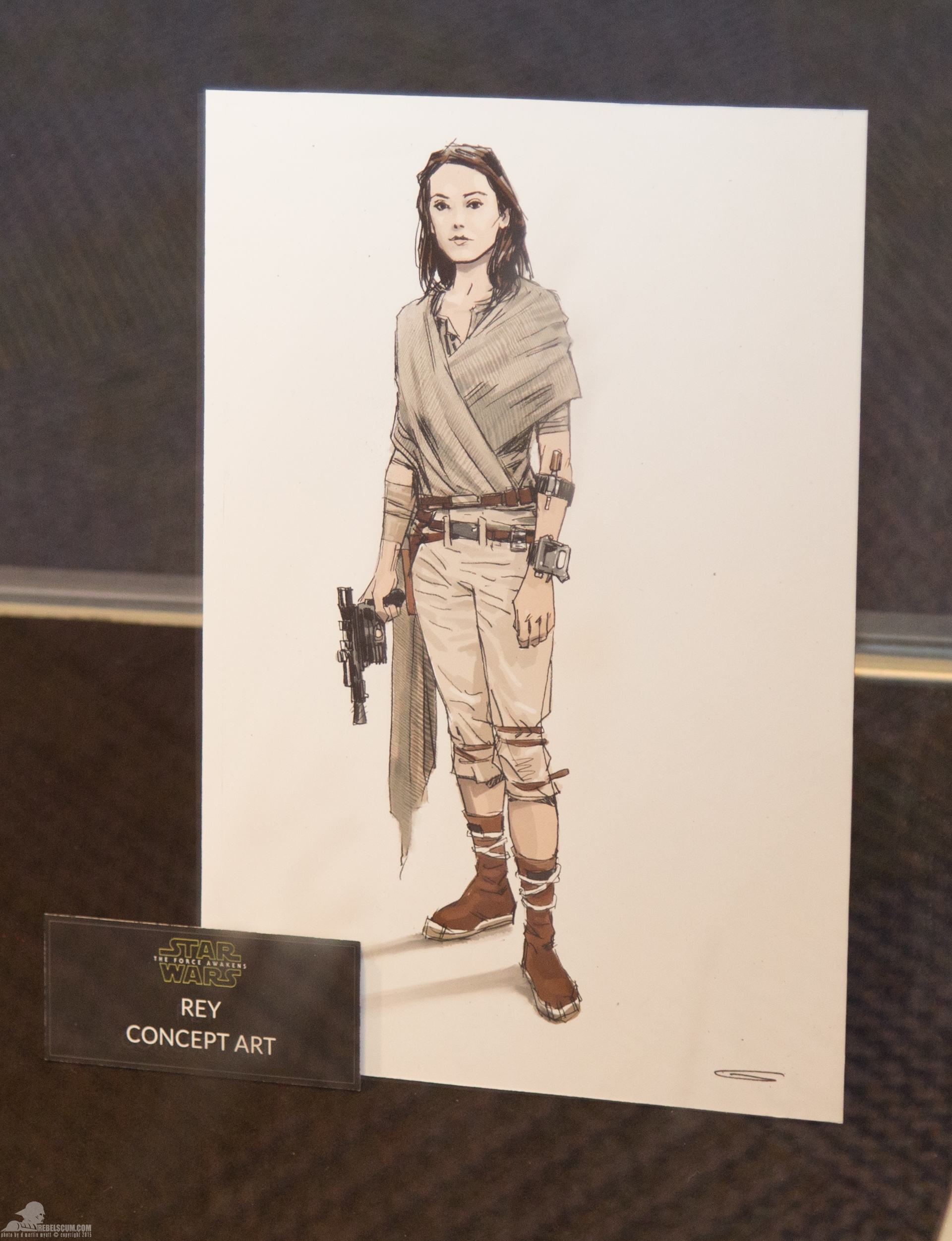 Star-Wars-Celebration-Anaheim-2015-The-Force-Awakens-044.jpg