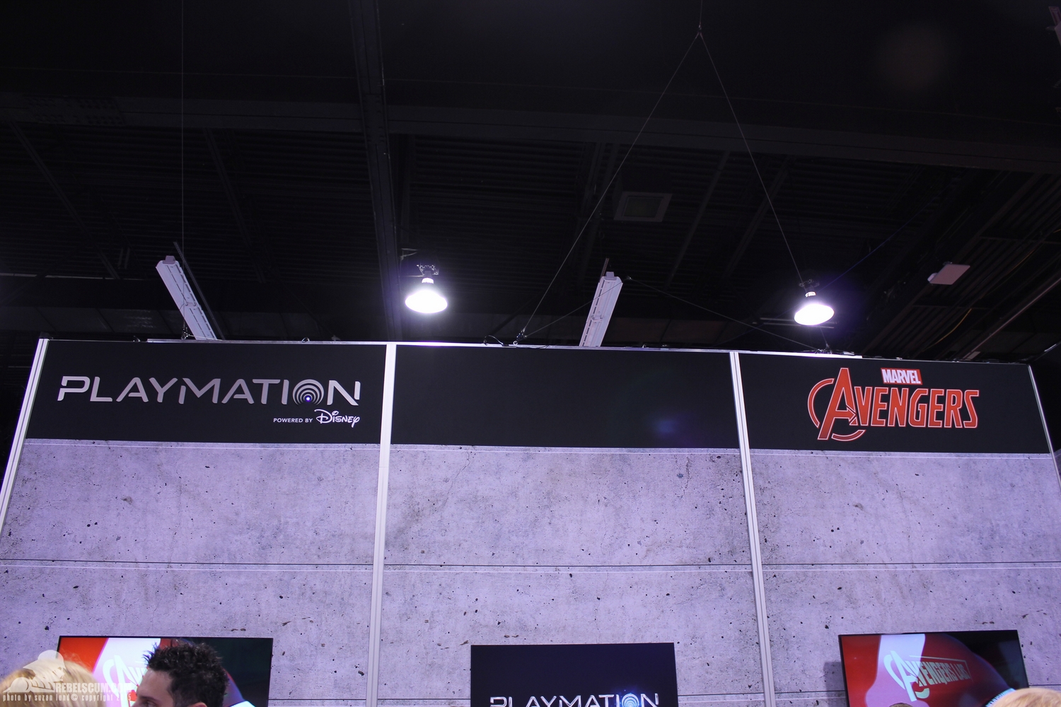 D23-Expo-2015-120.jpg