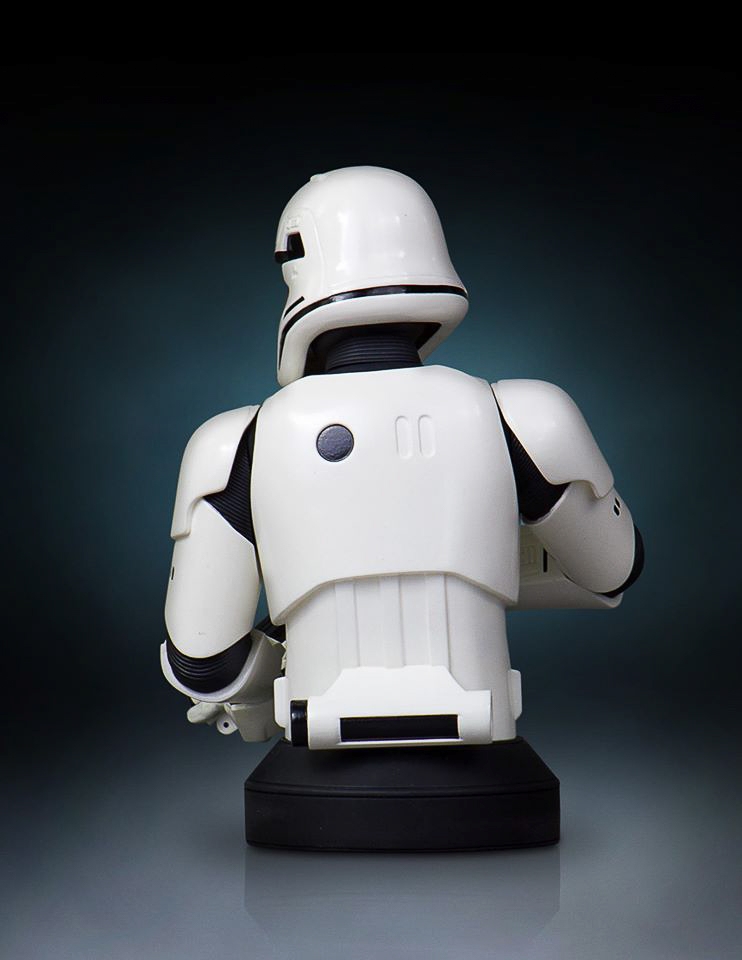 Gentle-Giant-Ltd-First-Order-Stormtrooper-Mini-Bust-005.jpg