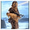 Hot-Toys-MMS375-Chewbacca-The-Force-Awakens-005.jpg