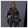 Hot-Toys-MMS405-Jyn-Erso-Deluxe-Collectible-Figure-012.jpg