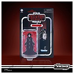 STAR WARS THE VINTAGE COLLECTION 3.75-INCH QUEEN AMIDALA Figure - in pck.jpg