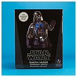 Darth Vader (Emperor's Wrath) Mini Bust from Gentle Giant Ltd.