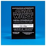 Hera Syndulla Mini Bust from Gentle Giant Ltd.