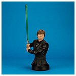 Luke-Skywalker-Jedi-Knight-Mini-Bust-Gentle-Giant-001.jpg