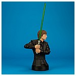 Luke-Skywalker-Jedi-Knight-Mini-Bust-Gentle-Giant-002.jpg