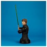 Luke-Skywalker-Jedi-Knight-Mini-Bust-Gentle-Giant-003.jpg
