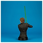 Luke-Skywalker-Jedi-Knight-Mini-Bust-Gentle-Giant-004.jpg