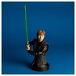 Luke Skywalker Luke Skywalker (Jedi Knight) Mini Bust from Gentle Giant Ltd.