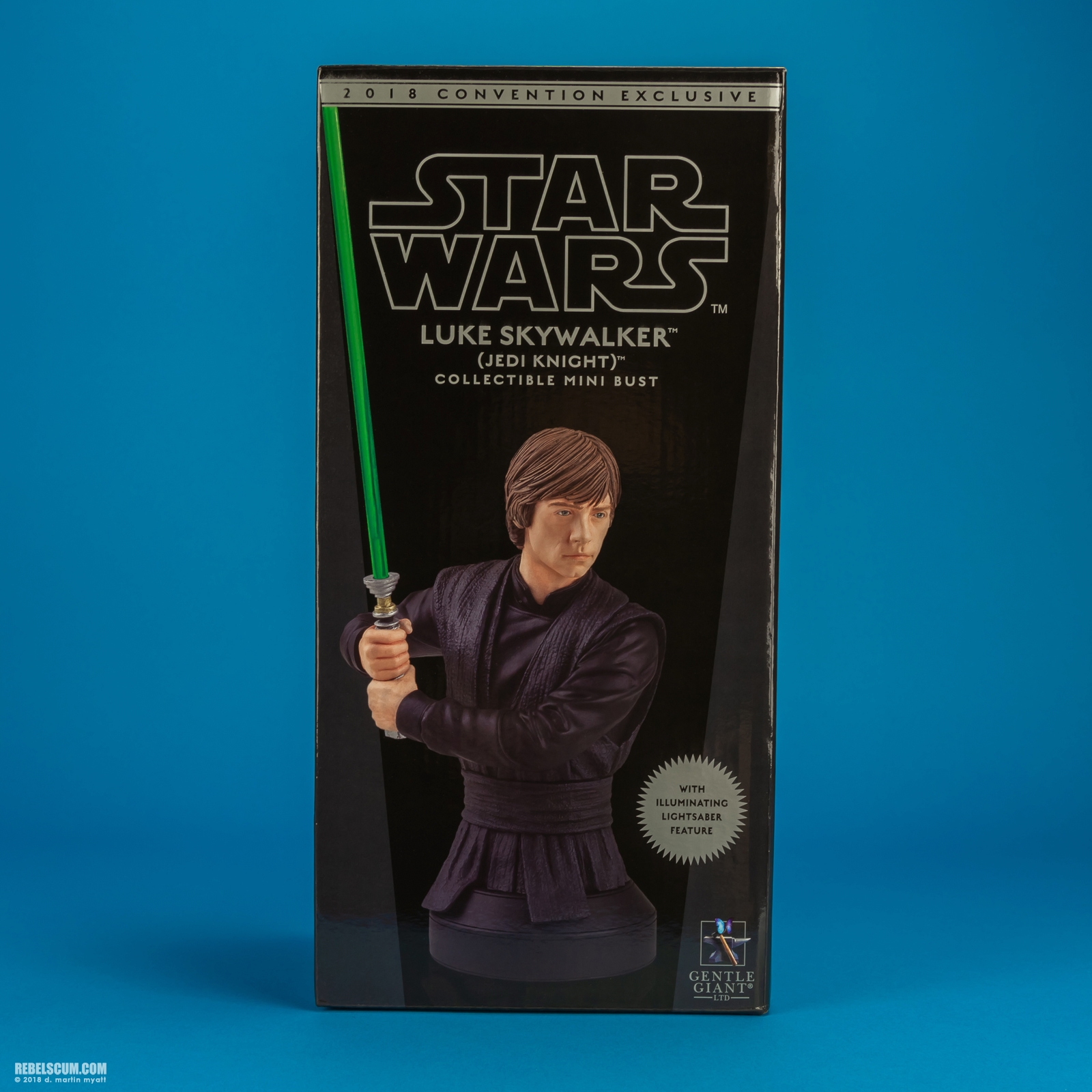 Luke-Skywalker-Jedi-Knight-Mini-Bust-Gentle-Giant-013.jpg