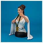 Princess Leia Organa (Hero of Yavin) Mini Bust from Gentle Giant Ltd.