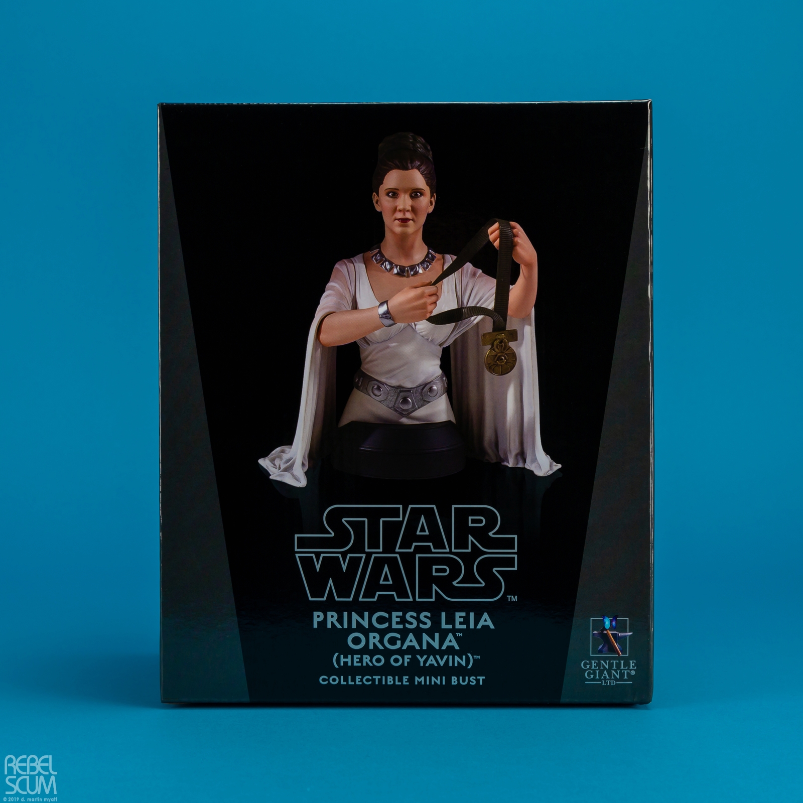 Princess-Leia-Organa-Hero-of-Yavin-Mini-Bust-Gentle-Giant-010.jpg