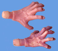 Palpatine's Hands