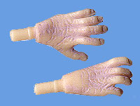 Darth Sidious' Hands