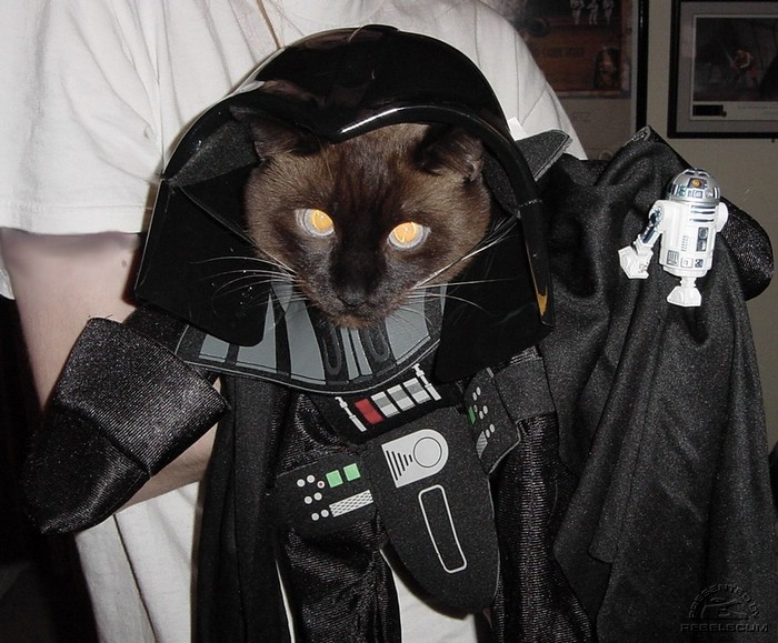 kittyvader.jpg