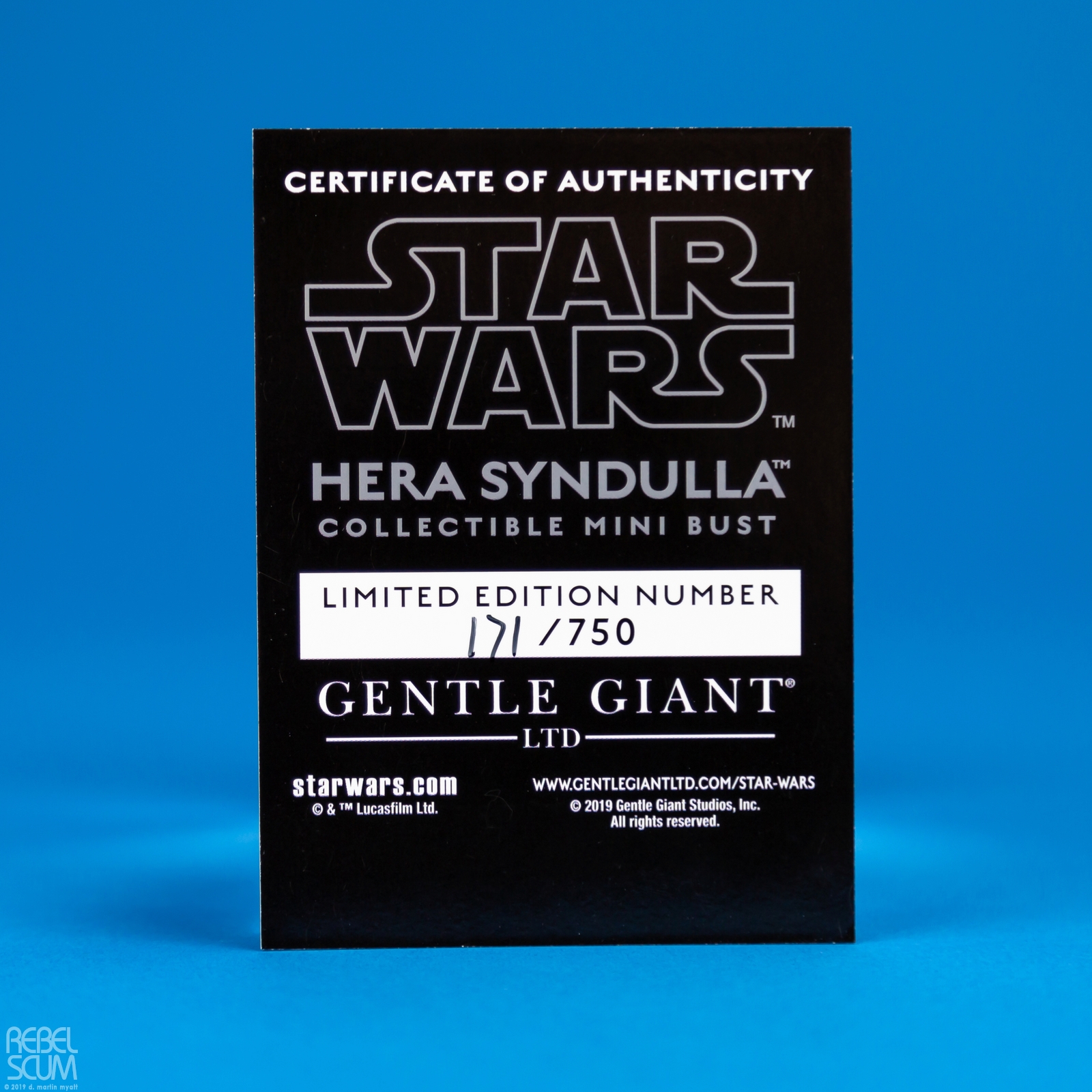 Hera-Syndulla-Collectible-Mini-Bust-gentle-Giant-Ltd-2019-007.jpg