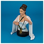Princess-Leia-Organa-Hero-of-Yavin-Mini-Bust-Gentle-Giant-005.jpg