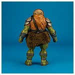 Gamorrean Guard The Black Series 6-inch action figure collection Hasbro