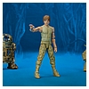 21-Luke-Skywalker-Dagobah-The-Black-Series-Hasbro-022.jpg