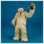 Wampa & Luke Skywalker (Hoth) 3.75-inch action figure two pack from Hasbro's Solo - Star Wars Universe collection